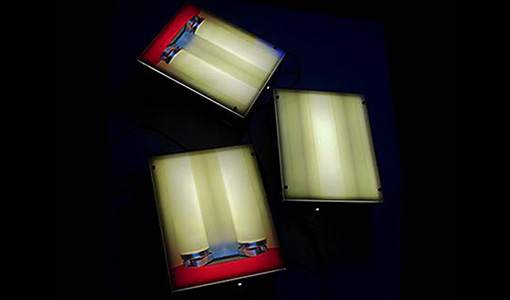 Fluorescent